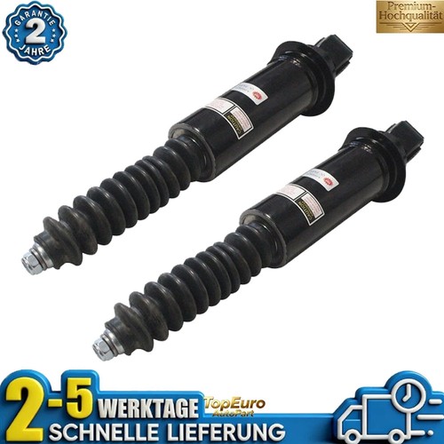 1paar hinten stoßdämpfer - hinten,